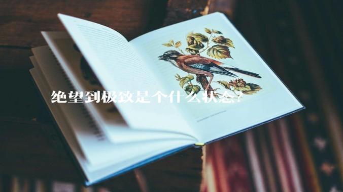 绝望到极致是个什么状态？