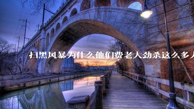 扫黑风暴为什么他们费老大劲杀这么多人不如直接把督导组干掉？