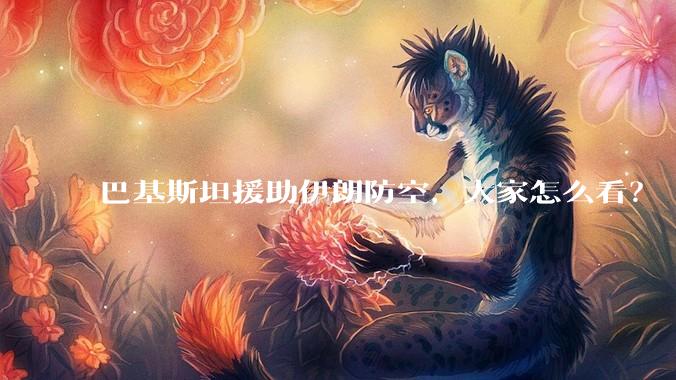巴基斯坦援助伊朗防空，大家怎么看？